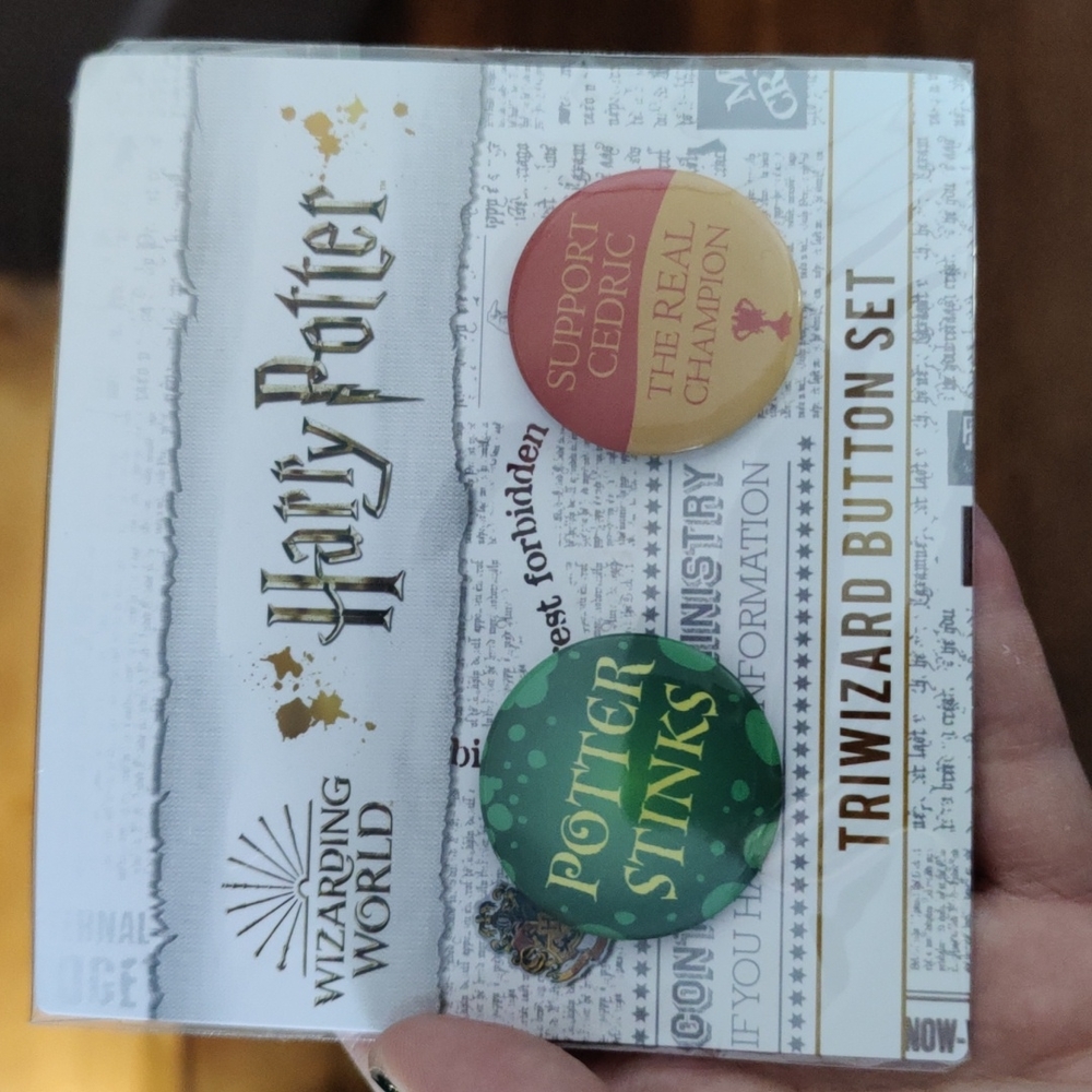 Harry Potter Pins Lootcrate